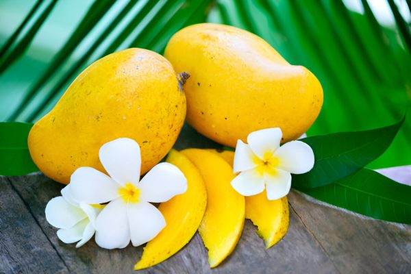 Multan's Sindhri Mango